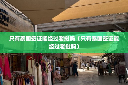 只有泰国签证能经过老挝吗（只有泰国签证能经过老挝吗）