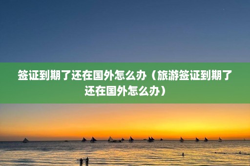 签证到期了还在国外怎么办（旅游签证到期了还在国外怎么办）