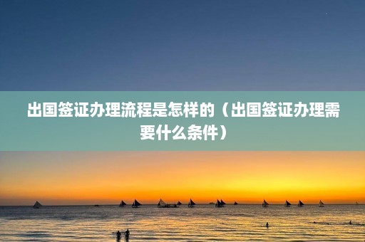 出国签证办理流程是怎样的（出国签证办理需要什么条件）