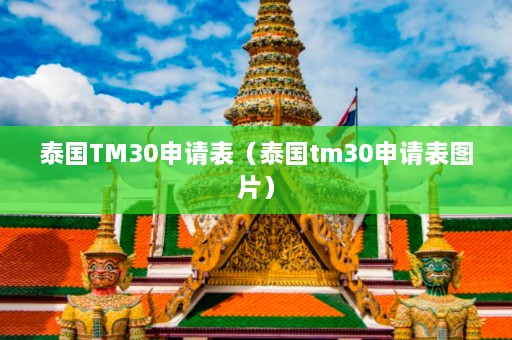 泰国TM30申请表（泰国tm30申请表图片）  第1张