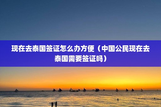 现在去泰国签证怎么办方便（中国公民现在去泰国需要签证吗）