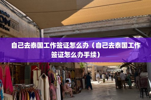 自己去泰国工作签证怎么办（自己去泰国工作签证怎么办手续）