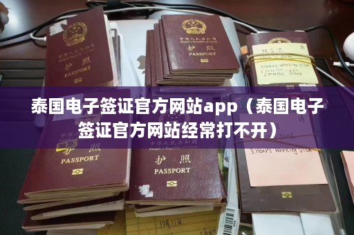 泰国电子签证 *** 网站app（泰国电子签证 *** 网站经常打不开）  第1张