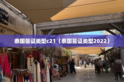 泰国签证类型c21（泰国签证类型2022）