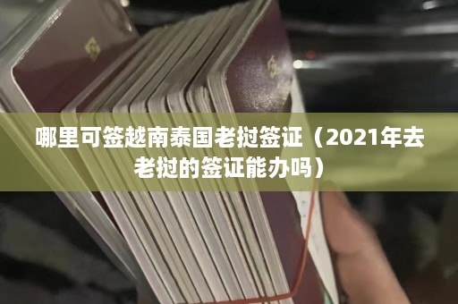 哪里可签越南泰国老挝签证（2021年去老挝的签证能办吗）  第1张