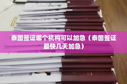 泰国签证哪个机构可以加急（泰国签证最快几天加急）  第1张