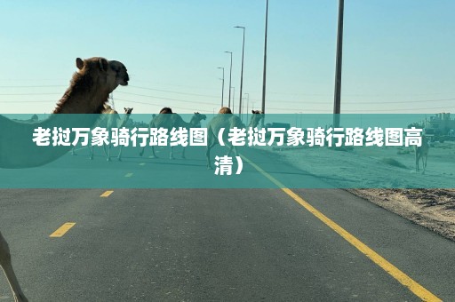 老挝万象骑行路线图（老挝万象骑行路线图高清）