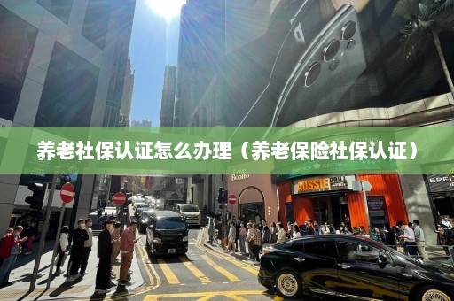 养老社保认证怎么办理（养老保险社保认证）