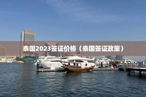 泰国2023签证价格（泰国签证政策）