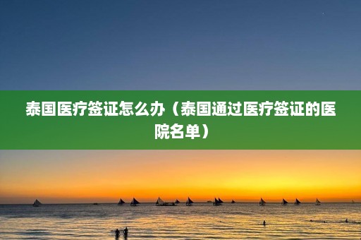 泰国医疗签证怎么办（泰国通过医疗签证的医院名单）  第1张