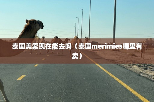 泰国美索现在能去吗（泰国merimies哪里有卖）