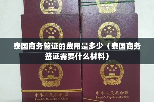 泰国商务签证的费用是多少（泰国商务签证需要什么材料）  第1张