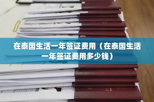 在泰国生活一年签证费用（在泰国生活一年签证费用多少钱）  第1张