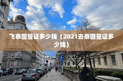 飞泰国签证多少钱（2021去泰国签证多少钱）  第1张