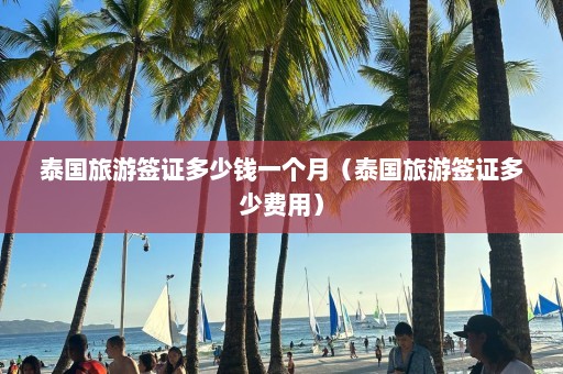 泰国旅游签证多少钱一个月（泰国旅游签证多少费用）