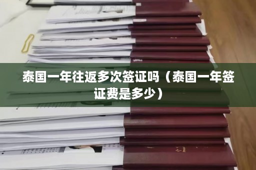 泰国一年往返多次签证吗（泰国一年签证费是多少）