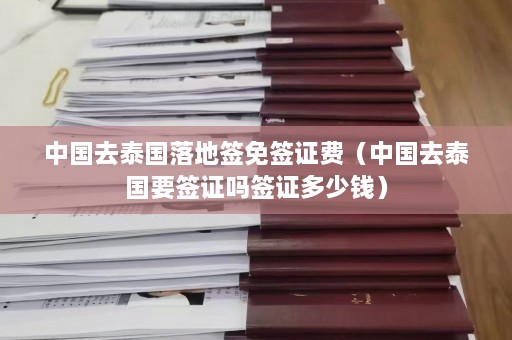 中国去泰国落地签免签证费（中国去泰国要签证吗签证多少钱）  第1张