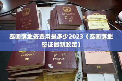 泰国落地签费用是多少2023（泰国落地签证最新政策）  第1张