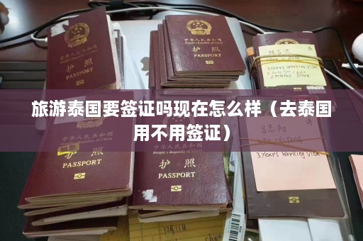 旅游泰国要签证吗现在怎么样（去泰国用不用签证）  第1张