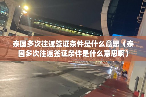 泰国多次往返签证条件是什么意思（泰国多次往返签证条件是什么意思啊）  第1张