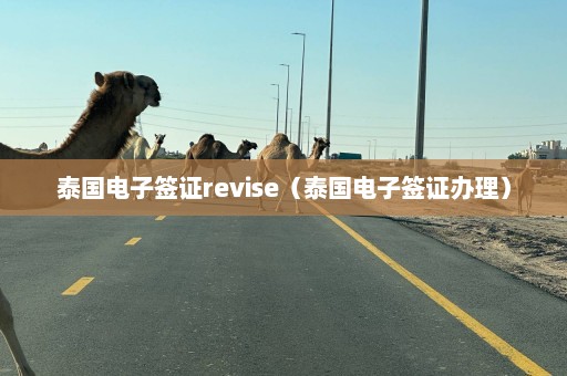 泰国电子签证revise（泰国电子签证办理）