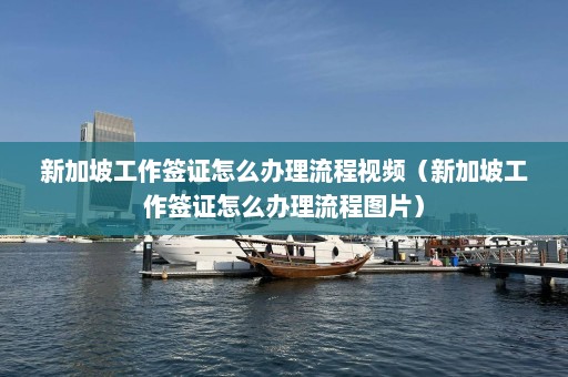 新加坡工作签证怎么办理流程视频（新加坡工作签证怎么办理流程图片）