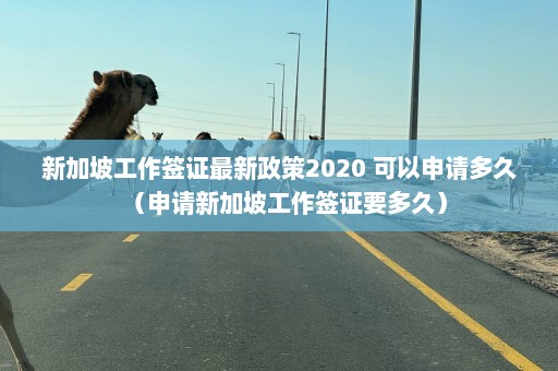 新加坡工作签证最新政策2020 可以申请多久（申请新加坡工作签证要多久）