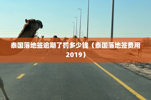 泰国落地签逾期了罚多少钱（泰国落地签费用2019）