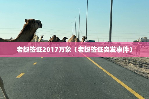 老挝签证2017万象（老挝签证突发事件）