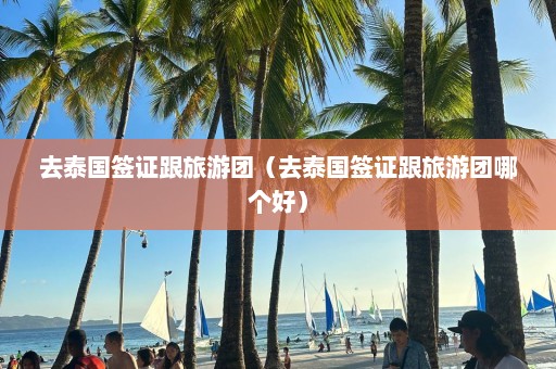 去泰国签证跟旅游团（去泰国签证跟旅游团哪个好）