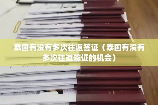 泰国有没有多次往返签证（泰国有没有多次往返签证的机会）  第1张