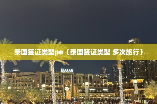 泰国签证类型pe（泰国签证类型 多次旅行）