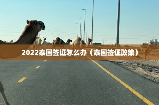 2022泰国签证怎么办（泰国签证政策）