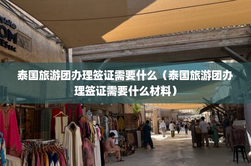 泰国旅游团办理签证需要什么（泰国旅游团办理签证需要什么材料）