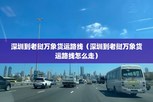 深圳到老挝万象货运路线（深圳到老挝万象货运路线怎么走）