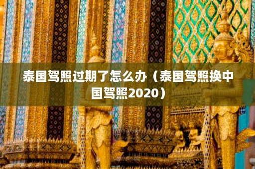 泰国驾照过期了怎么办（泰国驾照换中国驾照2020）  第1张