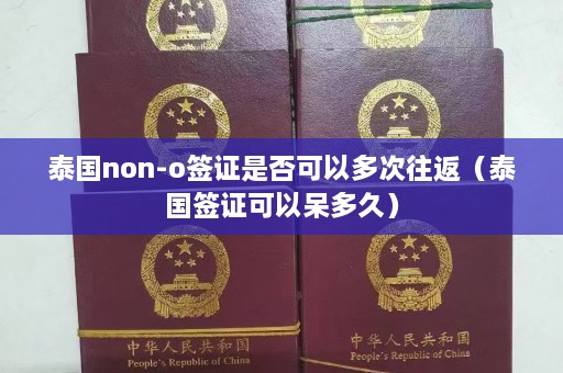 泰国non-o签证是否可以多次往返（泰国签证可以呆多久）  第1张