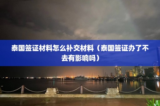 泰国签证材料怎么补交材料（泰国签证办了不去有影响吗）