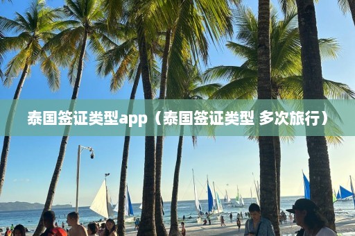 泰国签证类型app（泰国签证类型 多次旅行）