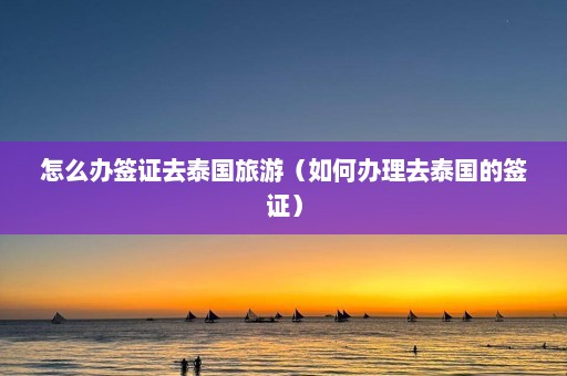 怎么办签证去泰国旅游（如何办理去泰国的签证）