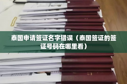 泰国申请签证名字错误（泰国签证的签证号码在哪里看）  第1张