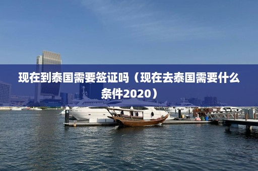 现在到泰国需要签证吗（现在去泰国需要什么条件2020）