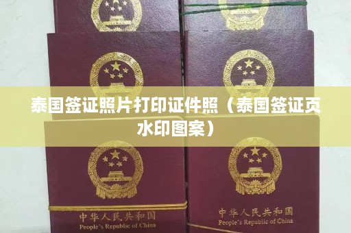 泰国签证照片打印证件照（泰国签证页水印图案）  第1张