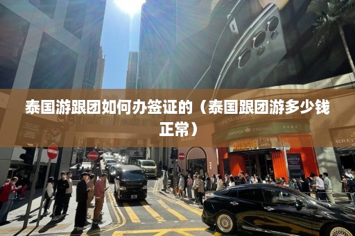 泰国游跟团如何办签证的（泰国跟团游多少钱正常）