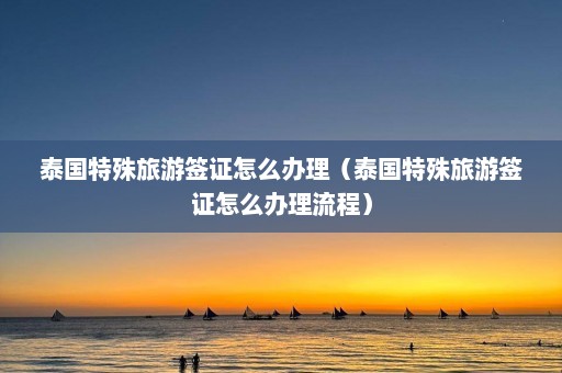 泰国特殊旅游签证怎么办理（泰国特殊旅游签证怎么办理流程）