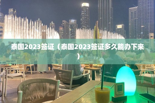 泰国2023签证（泰国2023签证多久能办下来）