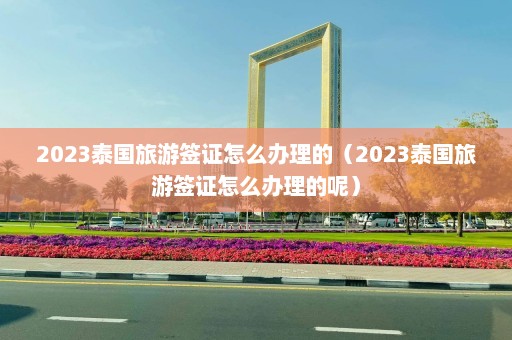 2023泰国旅游签证怎么办理的（2023泰国旅游签证怎么办理的呢）