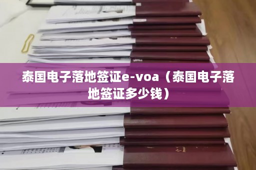 泰国电子落地签证e-voa（泰国电子落地签证多少钱）