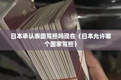 日本承认泰国驾照吗现在（日本允许哪个国家驾照）  第1张