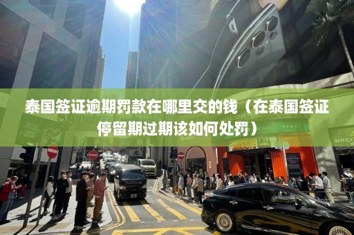 泰国签证逾期罚款在哪里交的钱（在泰国签证停留期过期该如何处罚）